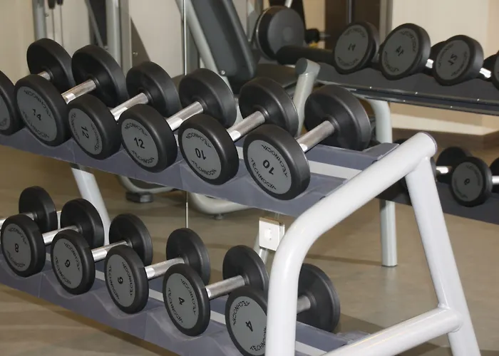 塞拉内华达美利亚酒店 4* 塞拉内华达