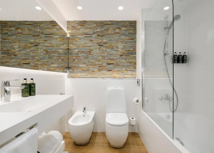 塞拉内华达美利亚酒店 酒店 4*