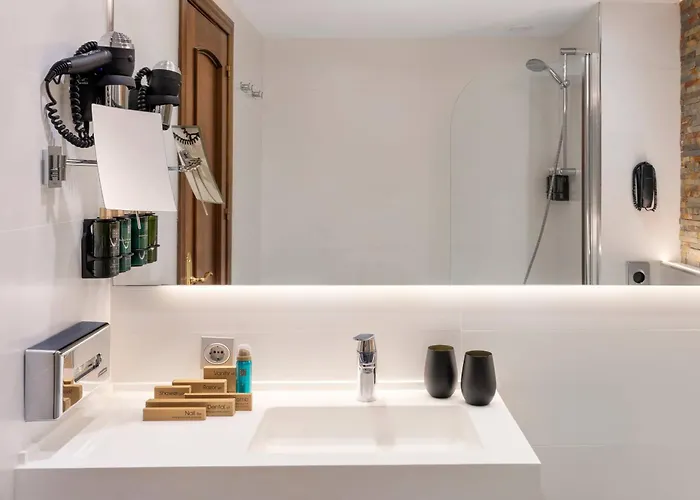 塞拉内华达美利亚酒店 酒店