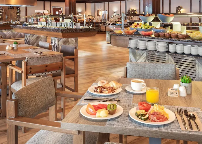 酒店 塞拉内华达美利亚酒店 塞拉内华达