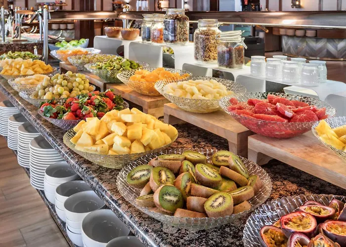 塞拉内华达美利亚酒店 4*