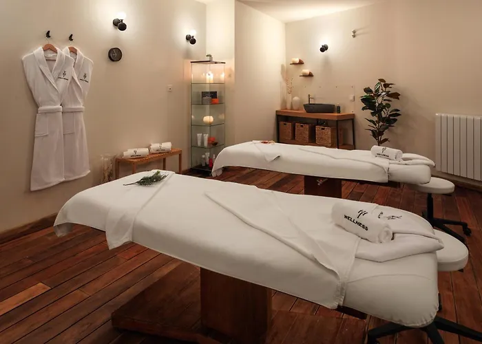 塞拉内华达美利亚酒店 酒店 4*